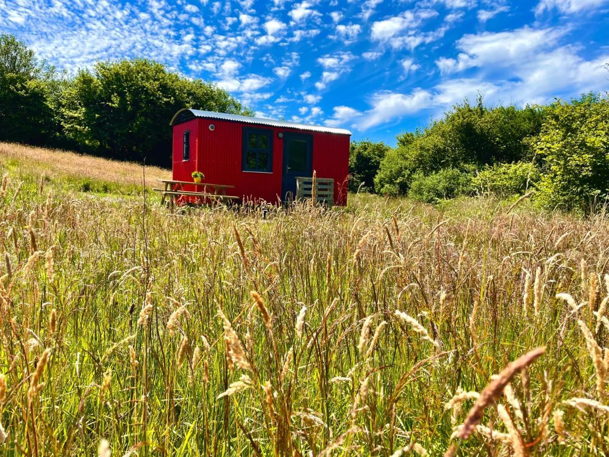 Shepherds Hut Glamping Bantry Exterior foto